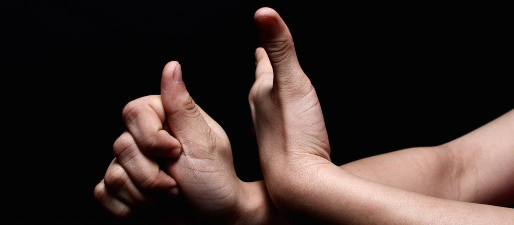 La importancia de las lenguas de señas en México y en el mundo. - gowin