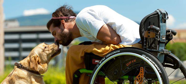 Beneficios de la terapia con animales para personas con discapacidad - gowin